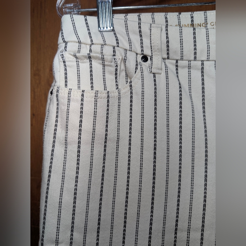 Chico's sz 6 So Slimming Girlfriend Slim Leg Ankle Jeans Pinstripe Off White - Picture 3 of 6